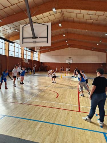 2024_11_03__20_48_40465150011_539642682140232_6584356722730035817_n